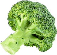 Foto recortada de brócoli