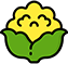 Icono de coliflor